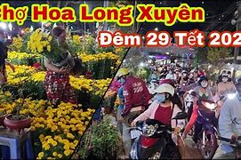 Chợ Hoa Tết Long Xuyên