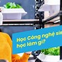 Chương Trình Đào Tạo Ngành Công Nghệ Sinh Học Ctu