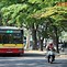 Du Lịch Ngoại Thành Hà Nội Bằng Xe Bus