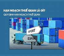 Hạn Ngạch Thuế Quan Là Gì