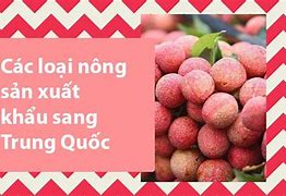 Tình Hình Xuất Khẩu Nông Sản Sang Trung Quốc